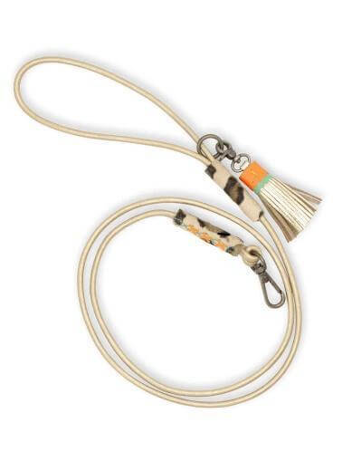 ⑦ DOG WITH A MISSION｜ゴルディー・レザードッグリード